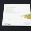 Sulphuric Saliva – Noisetracks CD0422 - immagine 2