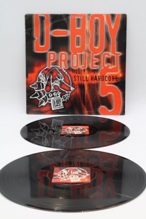 Various – D-Boy Project 5 - Still Hardcore LP00907
