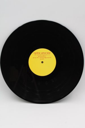 Animal Intelligence – Eardrum Torture LP01237