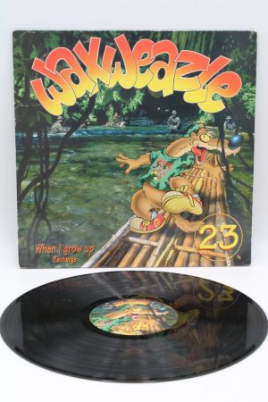 Recharge ‎– When I Grow Up LP01496